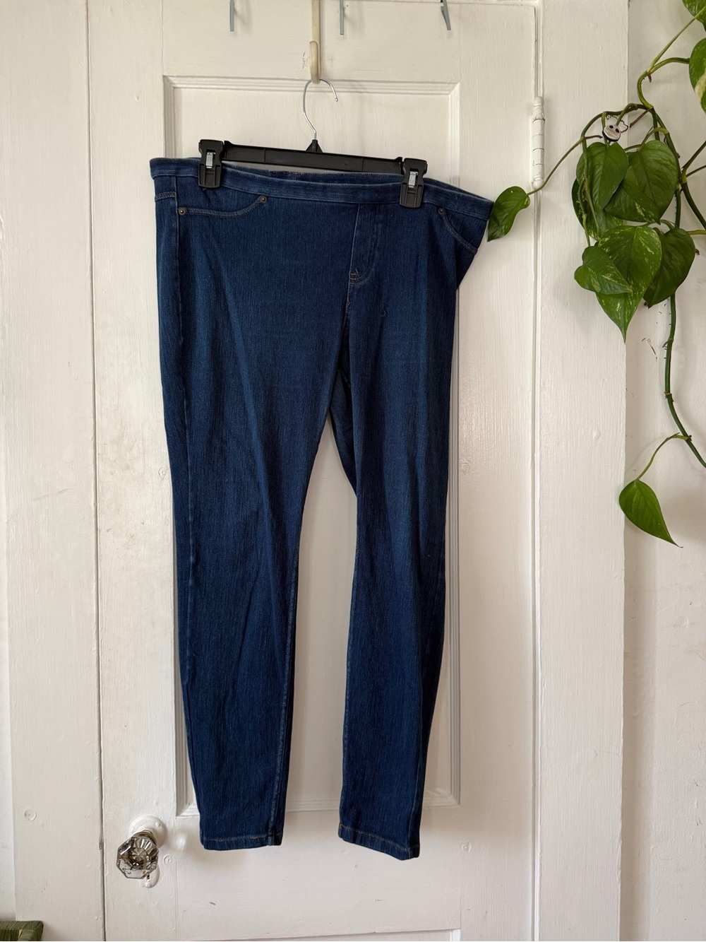 Women’s jegging pants size large in Deep Blue
